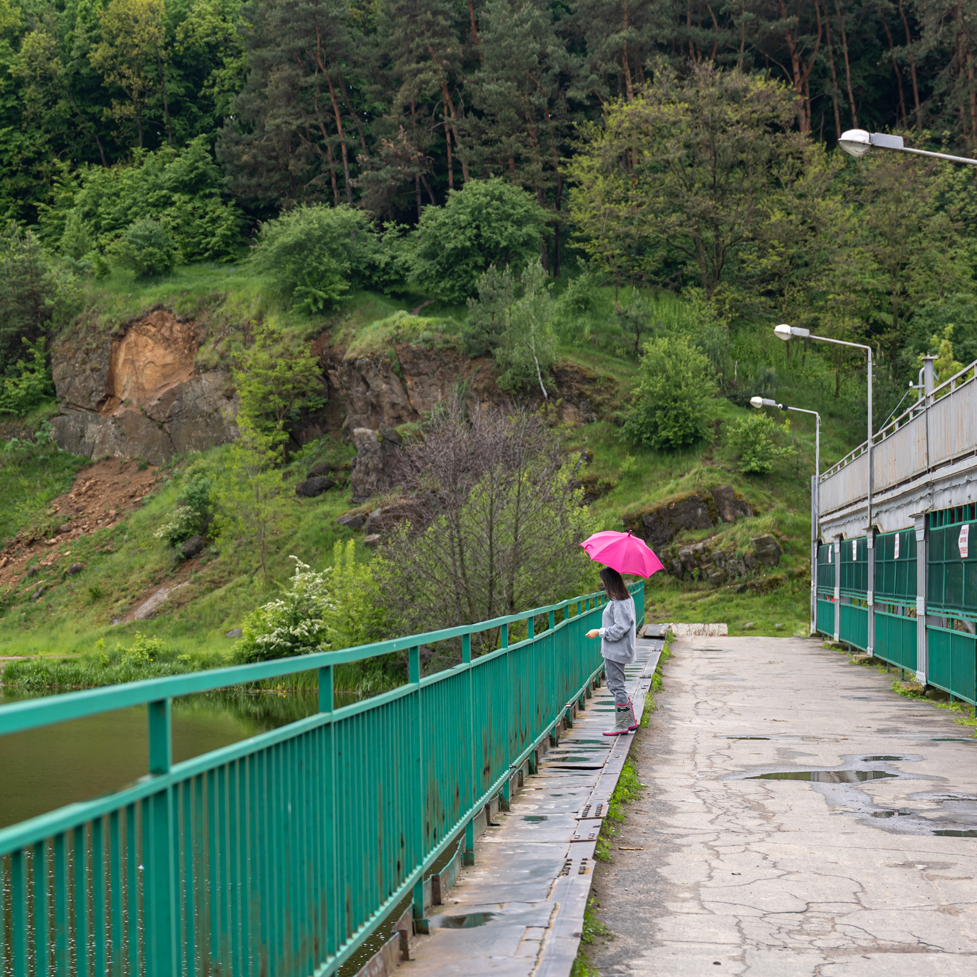 Green railing on a bridge beside a forested hill